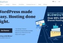 Tout sur Bluehost : Est-ce que cette compagnie d’hébergement web en vaut vraiment le coût ?