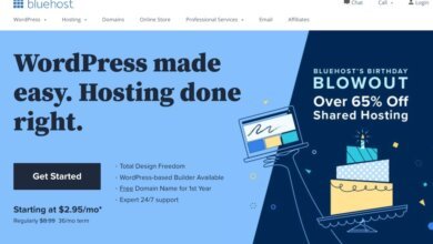 Tout sur Bluehost : Est-ce que cette compagnie d’hébergement web en vaut vraiment le coût ?