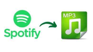 Comment convertir des musiques Spotify en MP3 en étant hors ligne ?