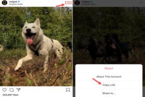 Cliquez sur l’icône à trois points de la vidéo, copiez le lien de la vidéo