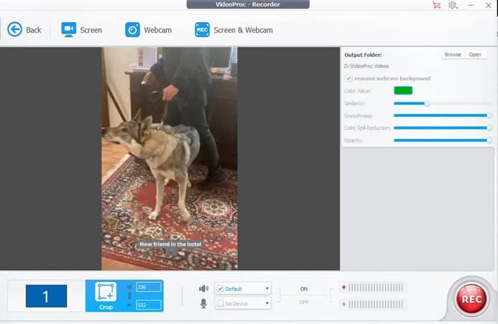 enregistrement lors de la visualisation de la vidéo