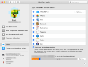 Mac iCloud Préférences Système