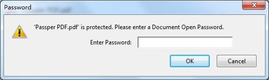 Adobe vous demandera ensuite d’entrer le mot de passe