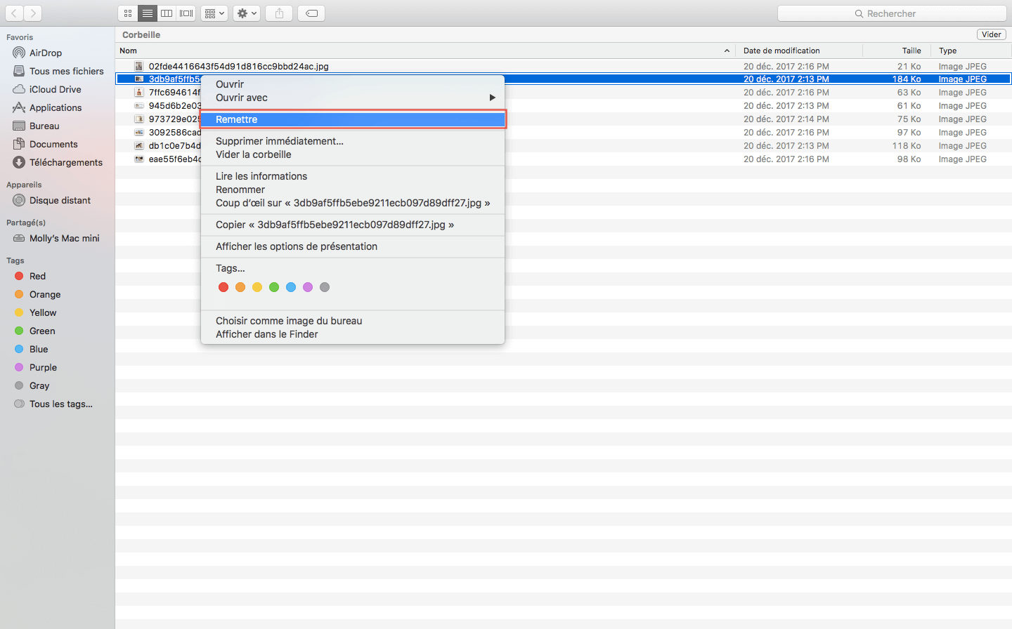 Comment restaurer les fichiers supprimés de la corbeille d'un Mac ?