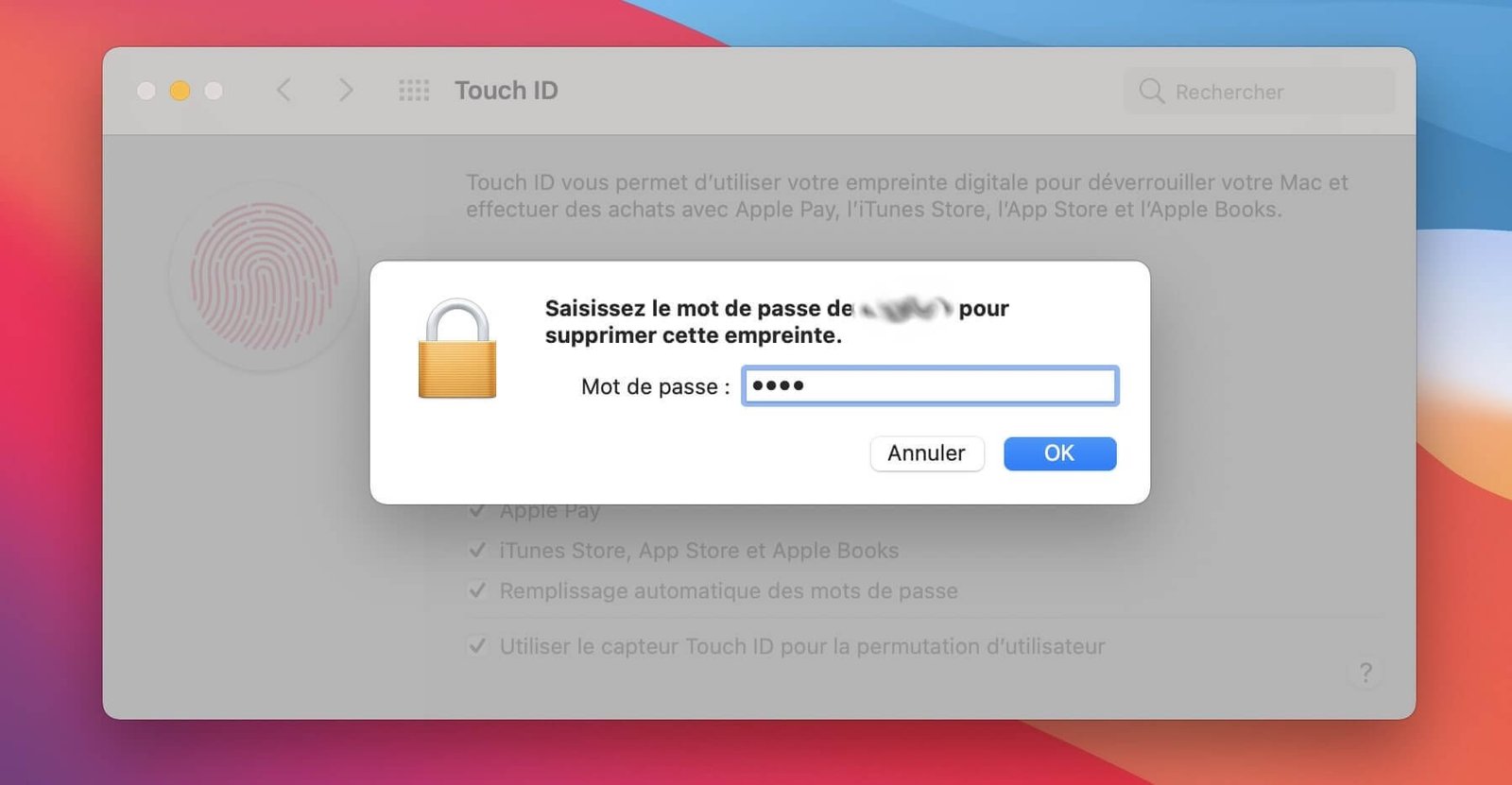 Confirmez l’action en entrant votre mot de passe