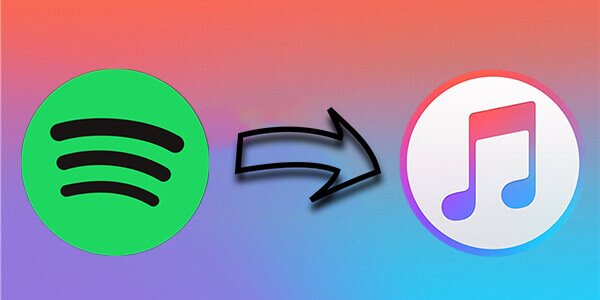 Comment transférer des listes de lecture Spotify dans la bibliothèque iTunes ?