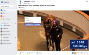 Copier l’URL de la vidéo que vous voulez sauvegarder de Facebook