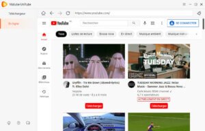 collez l’URL dans le mode « En ligne »